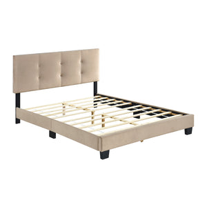 Fort Velvet Upholstered Platform Bed, Full