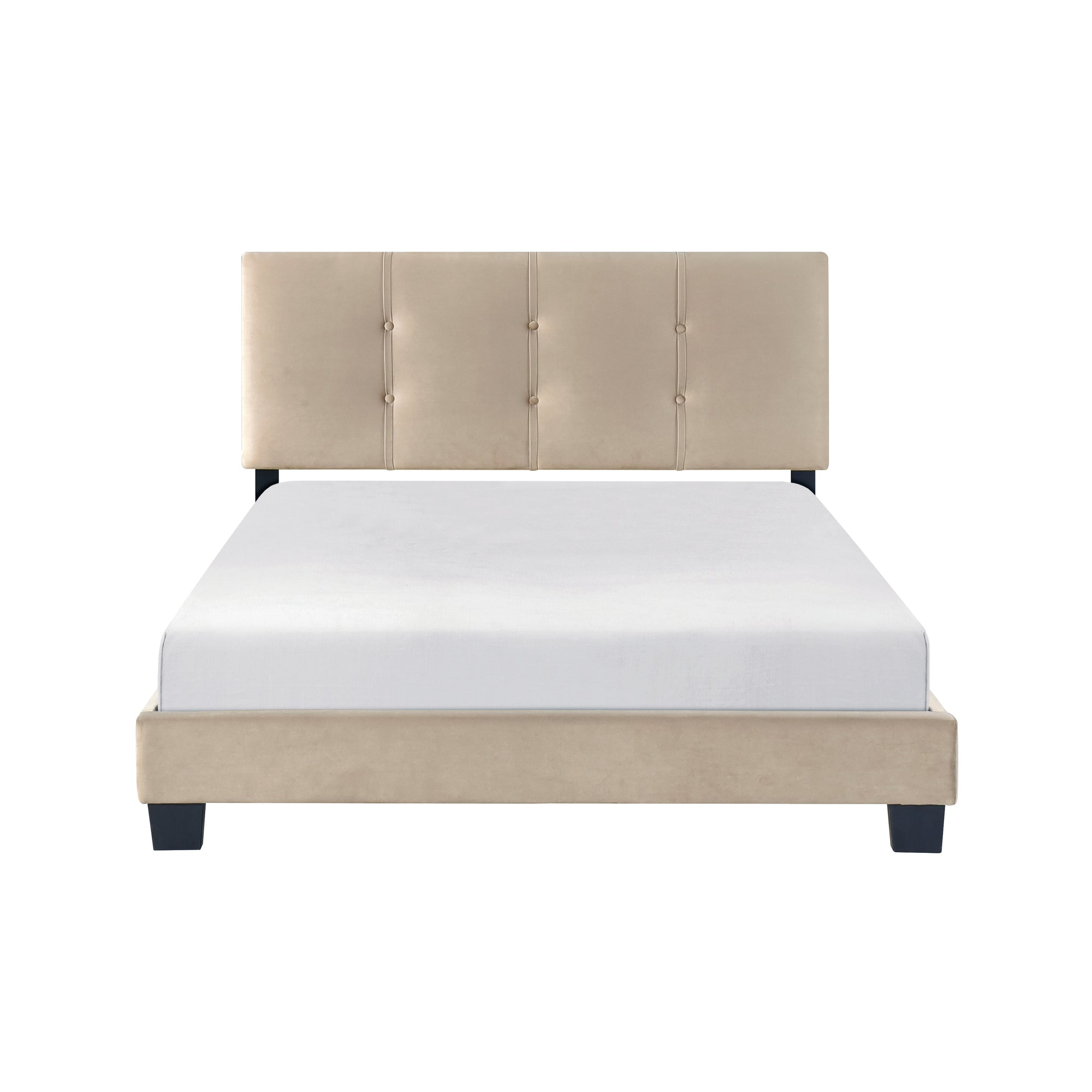 Fort Velvet Upholstered Platform Bed, Full