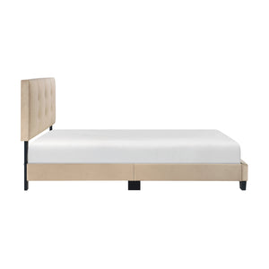 Fort Velvet Upholstered Platform Bed, Full