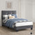 Fort Velvet Upholstered Platform Bed, Twin