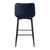 Seia Velvet Pub Height Chair (Set of 2)