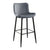 Seia Velvet Pub Height Chair (Set of 2)